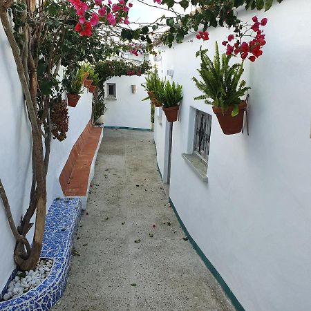 Apartamento La Chanca Conil De La Frontera Bagian luar foto